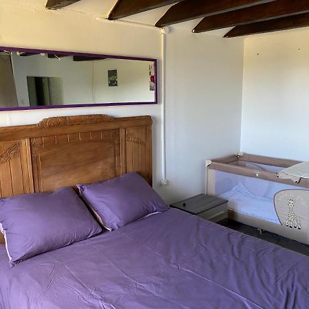 Maison De Campagne Proche Du Zoo De Beauval Nouans-les-Fontaines Dış mekan fotoğraf